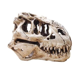 KODENG Tyrannosaur Skull T-Rex Skull Gifts Lifelike Resin Crafts Dinosaur Skull Fossil Teaching Skeleton Model Home Aquarium Decor (A)