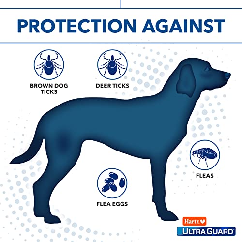 Hartz UltraGuard Dual Action Flea & Tick Topical Dog Treatment and Flea and Tick Prevention, 6 Months, 60+ Pound Dogs