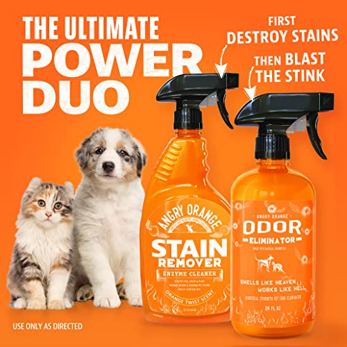 ANGRY ORANGE Pet Stain and Odor Remover - 2 Spray Pack - 32 oz Dog, Ferret, Rabbit & Cat Urine Enzyme Cleaner - 24 oz Pet Odor Eliminator for Strong Odor - for Pee on Carpet, Furniture, Tile, Wood