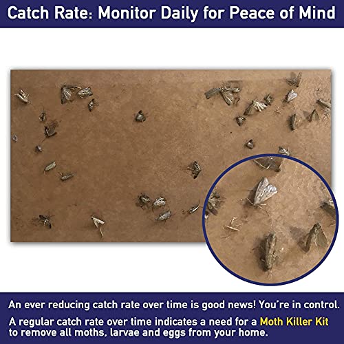 Powerful Moth Traps for Clothes Moths | Including Refills for 9 Months Protection! | Best Catch-Rate for Clothes Moth and Carpet Moth Traps on The Market