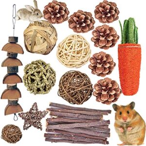 qhzhang hamster chew toys，24pcs combined chew toys molar sticks sweet bamboo apple branch molar toy for rabbits pets chinchilla squirrel gerbil hamster squirrel guinea