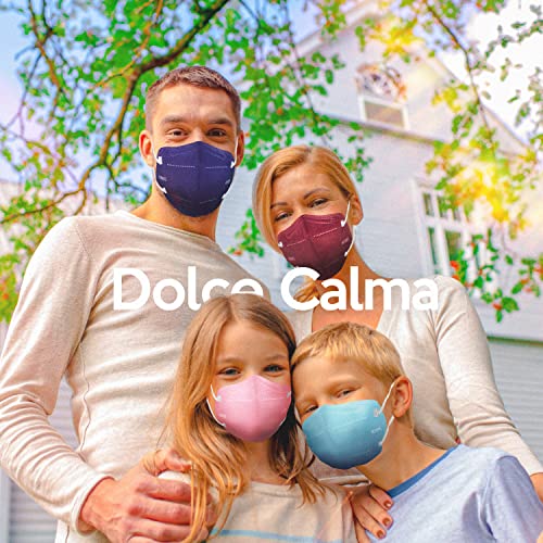 Dolce Calma KN95 Face Mask, 20 Pack Individually Wrapped, 5-Ply Breathable & Comfortable Multicolor Masks for Men and Women, Multicolored Masks with Adjustable Nose Clip & Flexible Earloop KN95 Mask