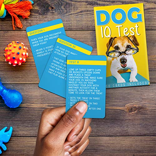 Gift Republic GR490091 Dog IQ Test