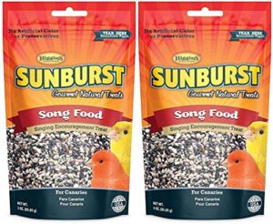 higgins 2 pack of sunburst song food singing encouragement treats for canaries, 3 ounces each