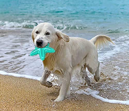Carllg Dog Toys for Aggressive Chewers, Dog Teething Cleaning Toothbrush Toy, Durable Squeaky Interactive Starfish Puppy Toys for Small Medium Large Breed