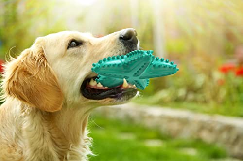 Carllg Dog Toys for Aggressive Chewers, Dog Teething Cleaning Toothbrush Toy, Durable Squeaky Interactive Starfish Puppy Toys for Small Medium Large Breed