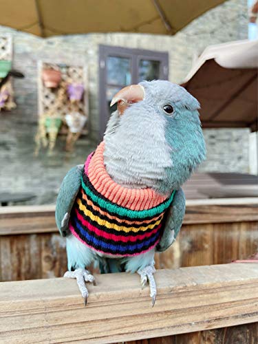 HEZHUO Parrot Bird Supplies, Light Flying Clothes, Warm and Comfortable, Tiger Skin, Green Cheek Parrot, Little Sun Parrot, Monk Parrot, Starling, mynah, Senegal Parrot, Mini Macaw Sweater (4XL)