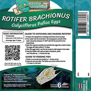 GREEN WATER FARM Rotifers Brachionus calyciflorus Pallas Eggs Live Fish Food for Hatching and Culture Suitable for Feed Betta Fish