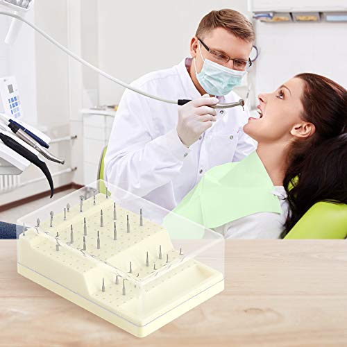 168 Holes Dental Bur Holder Box with Cover and Drawer, Burs Block Station Organizer Case for Bur, Plisher, File - Durable and Sturdy