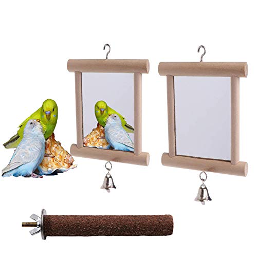 WoYous Bird Cage Mirror, 2 Pieces Parrot Double Side Mirror Swing Wooden Hanging Bird Mirror and Bird Prech for Little Macaws Lovebird Cockatoo Parakeet Finch Cockatiel (C)