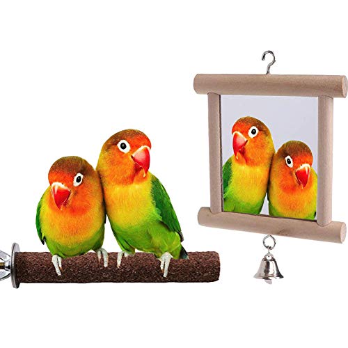 WoYous Bird Cage Mirror, 2 Pieces Parrot Double Side Mirror Swing Wooden Hanging Bird Mirror and Bird Prech for Little Macaws Lovebird Cockatoo Parakeet Finch Cockatiel (C)