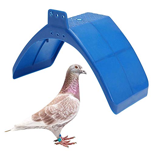 SENNAUX 20PCS Dove Rest Stand Frame Pigeon Perches Grill Dwelling Bird Rest Roost Holder(20PCS, Blue)