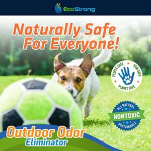 Eco Strong Outdoor Odor Eliminator | Outside Dog Urine Enzyme Cleaner – Powerful Pet, Cat, Animal Scent Deodorizer | Professional Strength for Yard, Turf, Kennels, Patios, Decks (Gallon with Sprayer)