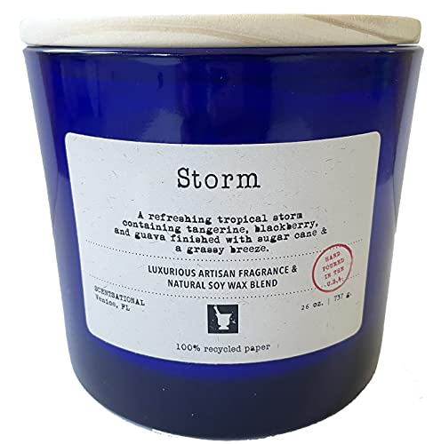 Scentsational Storm No. 6 Scented Jumbo Natural Soy Jar Candle | 26oz, 3-Wick