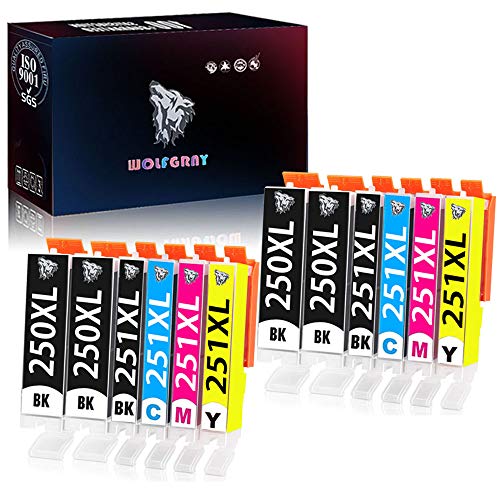 Wolfgray 12 Packs Compatible Ink Cartridge PGI-250XL CLI-251XL 250xl 251xl (4Large BK+2BK+2C+2M+2Y) Works for PIXMA MX922 MG5522 MG5620 MG6620 MG6600 MX920 iX6820 iP7220 Printer