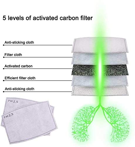 Millton PM 2.5 Filters 5 Layers Filters Activated Carbon Filters (20 Pcs)