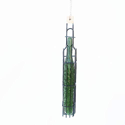 Bird Food Holder Parrot Feeders，Hanging Bird Foraging Toy Fruit Vegetable Storage Basket，Bird Treat Skewer Stick Holder，Small Animals Outside Feeding Tool Chews Toys for Parakeets Conures Cockatiels