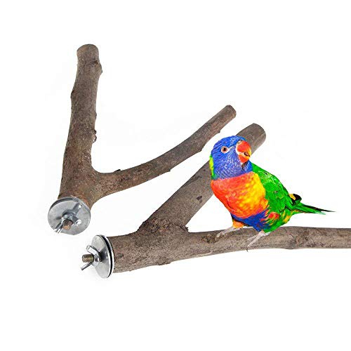 LINGNI 2 Pack Bird Perch, Nature Wood Parrot Stand Toy, Branch Platform Paw Grinding Stick for Small Parakeets Cockatiels, Conures, Macaws, Parrots, Love Birds, Finches Cage Accessory