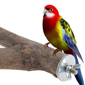 LINGNI 2 Pack Bird Perch, Nature Wood Parrot Stand Toy, Branch Platform Paw Grinding Stick for Small Parakeets Cockatiels, Conures, Macaws, Parrots, Love Birds, Finches Cage Accessory