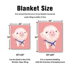 Parrot BEEK Pig Blanket Pig Gifts for Women Pig Lovers, Pink Pig Blankets for Kids, Cozy Warm Cute Animal Flannel Throw Blankets for Couch Sofa Living Room Decor 50x40 Inch