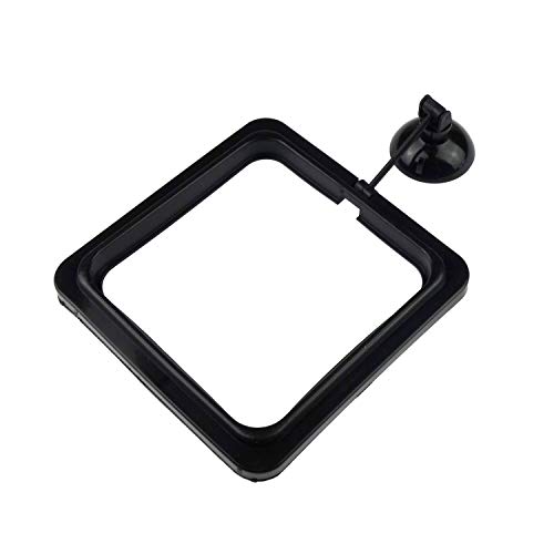 Zelerdo 7 Pack Aquarium Fish Feeding Ring Floating Food Feeder, Square Shape with Suction Cup, Black