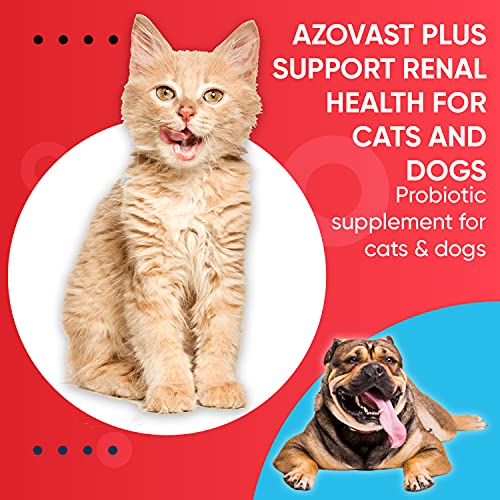 Azovast Plus Kidney Health Supplement for Dogs & Cats, 120ct - NO Refrigeration Required - Help Support Kidney Function & Manage Renal Toxins - Renal Care Supplement Capsule(U.S.A) (120 Caps)