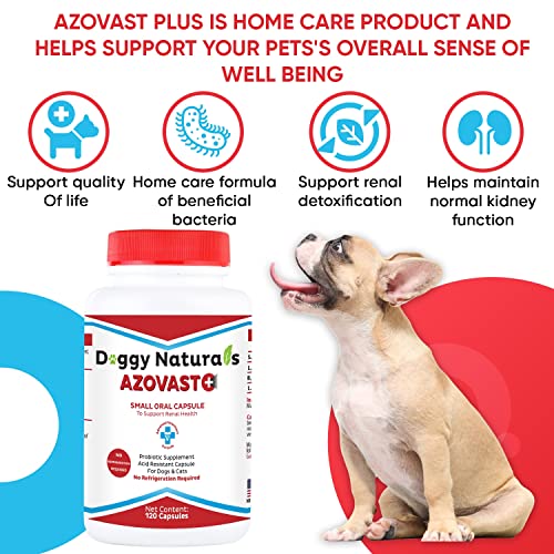 Azovast Plus Kidney Health Supplement for Dogs & Cats, 120ct - NO Refrigeration Required - Help Support Kidney Function & Manage Renal Toxins - Renal Care Supplement Capsule(U.S.A) (120 Caps)