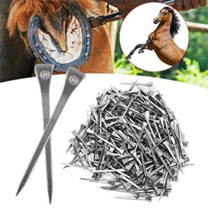 250Pcs Hoof Nail, Elasticity Steel Horseshoe Firmly Tool, Horseshoe Horseshoe Nail for Horse Tool Horse