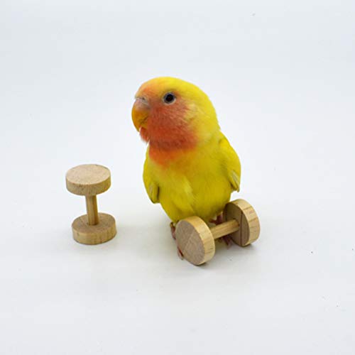 POPETPOP Parrot Toy 4pcs Creative Parrot Chewing Toys Wooden Dumbbell Playthings Funny Bird Cage Toy for Small Cockatiels Conures Parakeets Finch Educational Toys