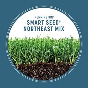 Pennington Smart Seed Northeast Grass Mix 20 Lb, Drought Resistant and Covers 6,600 Sq Ft