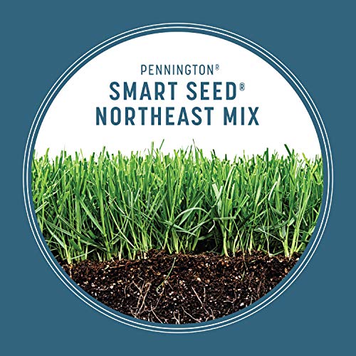 Pennington Smart Seed Northeast Grass Mix 20 Lb, Drought Resistant and Covers 6,600 Sq Ft