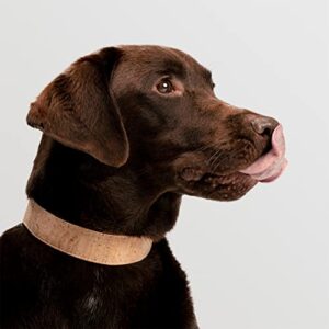 FollowPaw AirTag Dog Collar (L (44-51 cm), Natural)