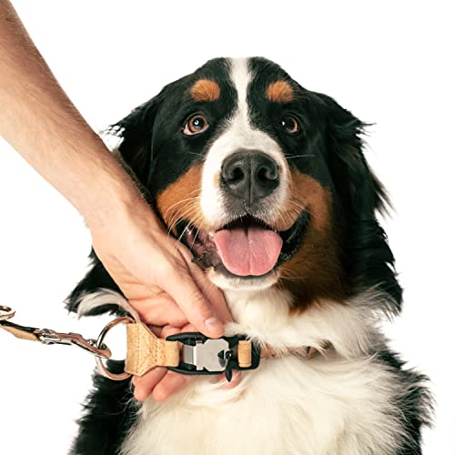 FollowPaw AirTag Dog Collar (L (44-51 cm), Natural)