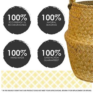 MoodiWoody Seagrass Plant Basket – Hand Woven Large Seagrass Baskets with Plastic Liner, Eco-Friendly Storage for Laundry, Picnic, Baskets Decor and Plant Pot Cover (Large, Original)