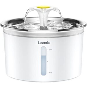 Loomla Cat Water Fountain, 85oz/2.5L Pet Water Fountain Indoor, Automatic Dog Water Dispenser with Switchable LED Lights, 2 Replacement Filters for Cats, Dogs, Pets（Stainless Steel）