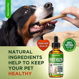 Natural Herbal Supplement for Dog and Cat - Cranberry, Oregano, Echinacea for Dogs and Cats Too - Organic Dog Supplement and Cat Supplement - Drops for General Strengthening - 1200 Drops 2 Oz