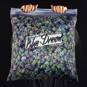 steelplant Blue Dream Giant Stash Weed Pillowcase | Decorative Throw Pillow Cover with Realistic Reefer Imagery | Secret Pocket Compartment | Fits 18 x 18 Inch Pillow Insert | Weed Decor