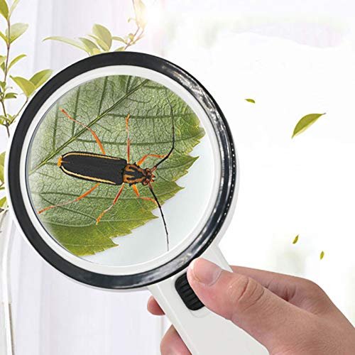 40X Magnifying Glass with Light, Handheld Lighted Magnifier with Large Double Glass Lens Led Magnifiers for Macular Degeneration, Seniors Reading, Soldering, Inspection, Coins, Jewelry, Exploring (#2)