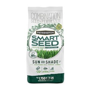 pennington smart seed sun and shade tall fescue grass seed mix for southern lawns 7 lb