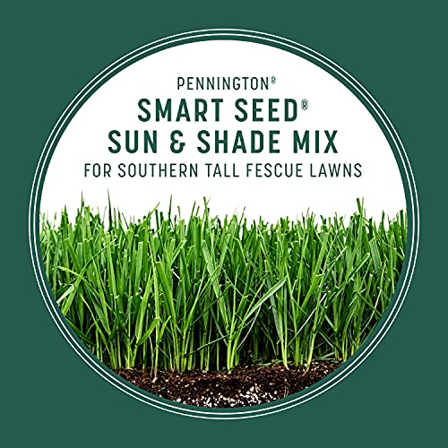 Pennington Smart Seed Sun and Shade Tall Fescue Grass Seed Mix for Southern Lawns 7 lb