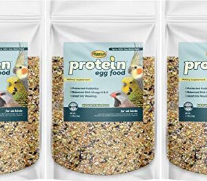 Higgins 3 Pack of Protein Egg Food, 1.1 Pounds Each, for All Birds