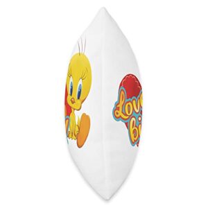 Looney Tunes Tweety Love Bird Valentine's Day Throw Pillow, 18x18, Multicolor