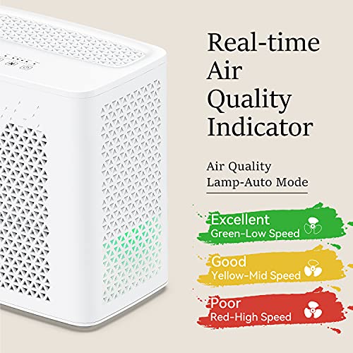 YIOU Air Purifier for Home Large Room up to 547 ft², H13 True HEPA Air Filter 20dB Air Cleaner Odor Eliminator for Allergies Smoke Dust Pollen, White