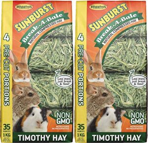 higgins 2 pack of sunburst break-a-bale compressed timothy hay, 35 ounces each, for small pets