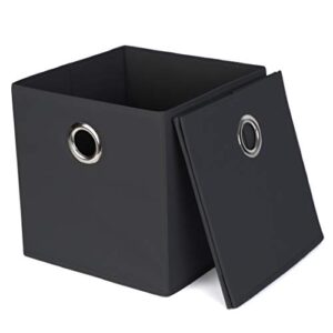 Richards Homewares Foldable Storage Cube, 2-Piece Set, Black