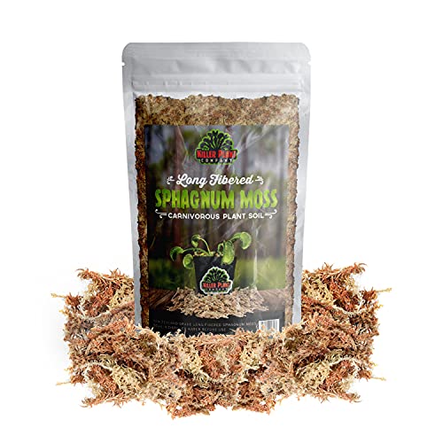 Carnivorous Plant Soil - Long Fibered Sphagnum Moss - 2 Quarts - New Zealand Grade - for Potting Venus Fly Traps, Sarracenia, Pitcher Plants, and Other Carnivorous Plants