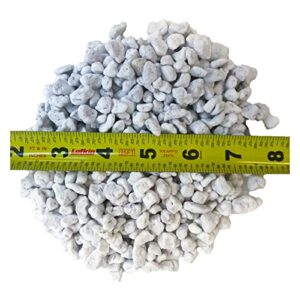 Viagrow Coarse and Chunky Perlite 29.9 quarts, White