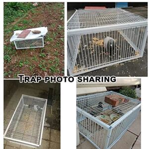 Pigeon Loft Door Pigeon Entrance Door Trap Door Pigeon House Door Racing Supplies Pet Bird Supply Product Bird cage Door (30cm/12in)