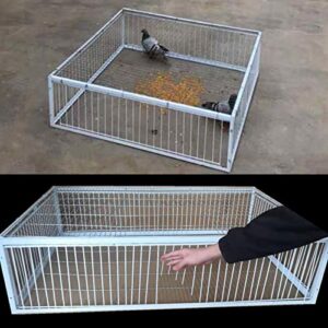 Pigeon Loft Door Pigeon Entrance Door Trap Door Pigeon House Door Racing Supplies Pet Bird Supply Product Bird cage Door (30cm/12in)