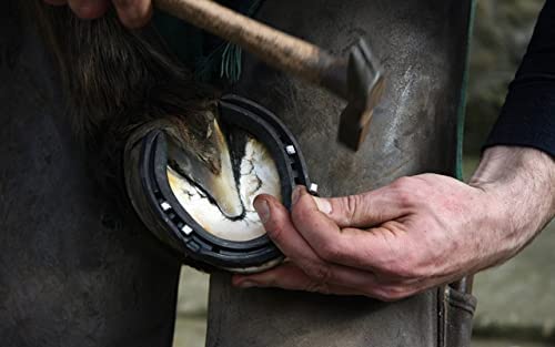 DIAMOND FARRIER 3863 Bucket Boss Tool Roll